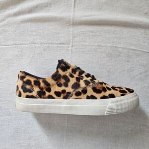 Polo by Ralph Lauren Leopard Print Sneakers